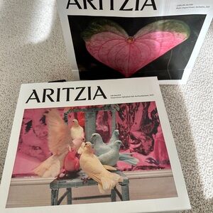 2 x Aritzia Small Shopping Gift Bag 8x7x2.5”